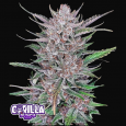 Gorilla Punch Auto - FastBuds